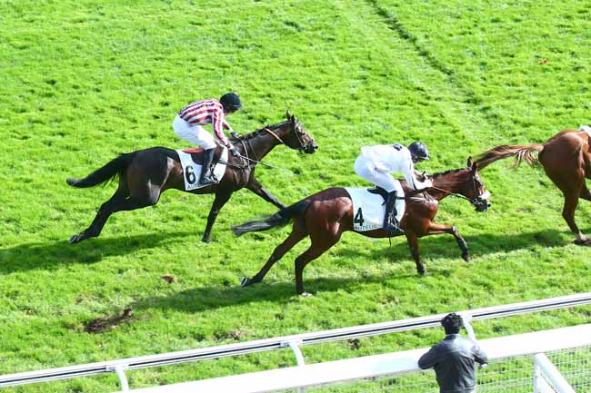 Photo d'arrivée de la course pmu PRIX PIOMARES à AUTEUIL le Mercredi 6 octobre 2021
