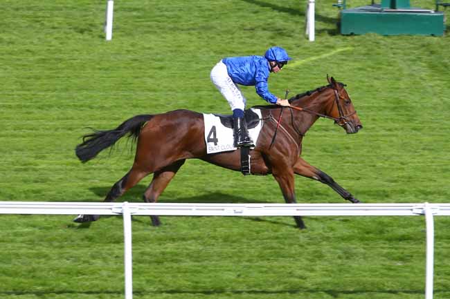 Photo d'arrivée de la course pmu PRIX TENEBREUSE à SAINT CLOUD le Jeudi 7 octobre 2021