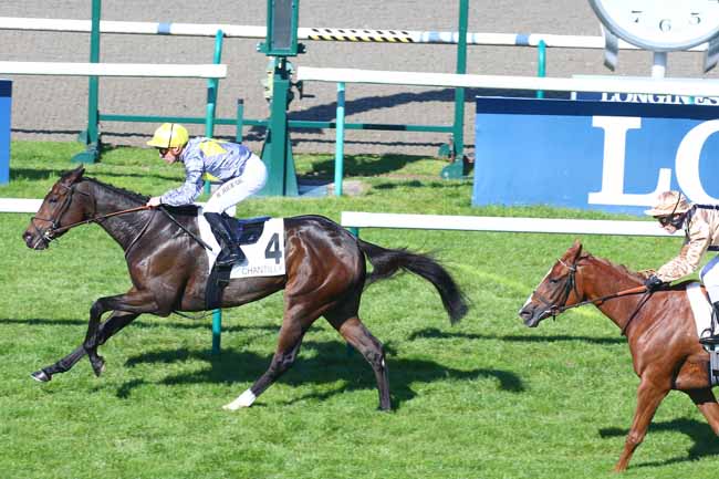Photo d'arrivée de la course pmu PRIX DE LA SALLE DU SYCOMORE à CHANTILLY le Samedi 9 octobre 2021