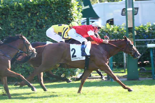 Photo d'arrivée de la course pmu CRITERIUM DE MAISONS-LAFFITTE à CHANTILLY le Samedi 9 octobre 2021