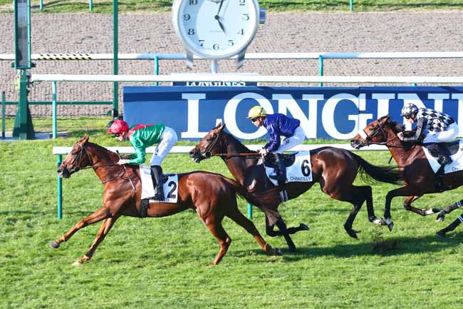 Photo d'arrivée de la course pmu PRIX DE COYE à CHANTILLY le Samedi 9 octobre 2021