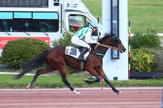 Photo d'arrivée de la course pmu PRIX DE MAUPERTHUIS à ENGHIEN le Mercredi 13 octobre 2021