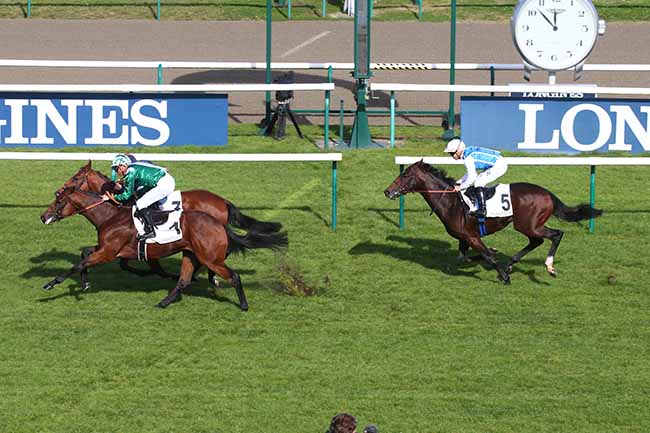 Photo d'arrivée de la course pmu PRIX DES TERRIERS DES HOUX à CHANTILLY le Mercredi 13 octobre 2021