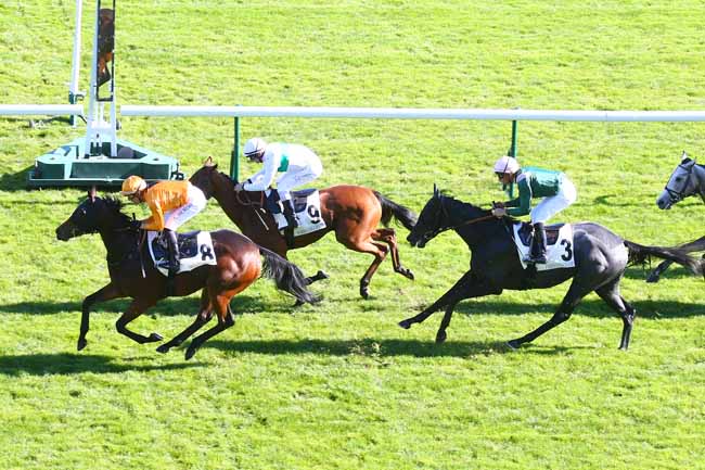 Photo d'arrivée de la course pmu PRIX DE LA FAISANDERIE à LONGCHAMP le Jeudi 14 octobre 2021