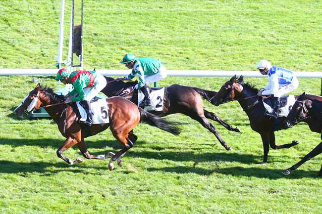 Photo d'arrivée de la course pmu PRIX DE LA BRECHE AUX LOUPS à LONGCHAMP le Jeudi 14 octobre 2021