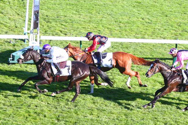 Photo d'arrivée de la course pmu PRIX DE SAINT-NICOLAS à LONGCHAMP le Jeudi 14 octobre 2021