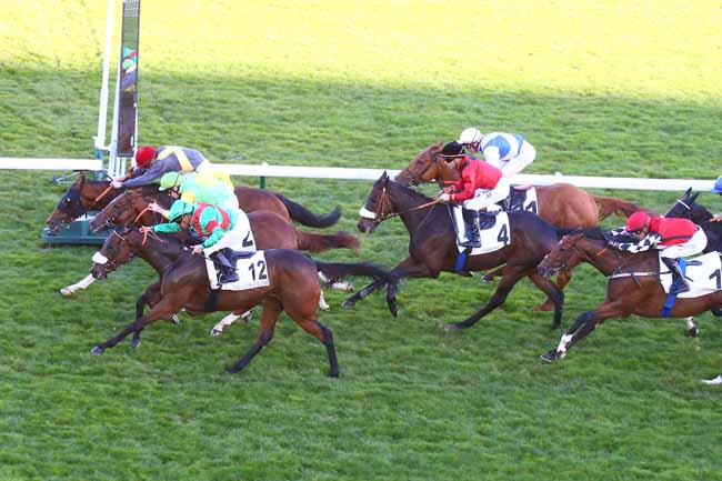 Photo d'arrivée de la course pmu PRIX DE LA FONTAINE DES HAUDRIETTES à LONGCHAMP le Jeudi 14 octobre 2021