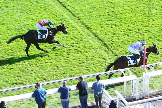 Photo d'arrivée de la course pmu PRIX EMILIUS à AUTEUIL le Samedi 16 octobre 2021