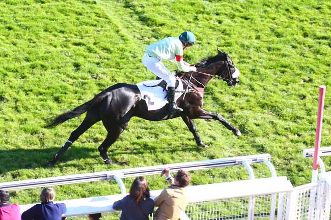 Photo d'arrivée de la course pmu PRIX PETIT FONTAINE à AUTEUIL le Samedi 16 octobre 2021
