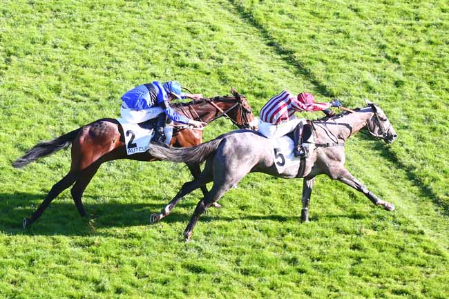 Photo d'arrivée de la course pmu PRIX GEORGES DE TALHOUET-ROY à AUTEUIL le Samedi 16 octobre 2021