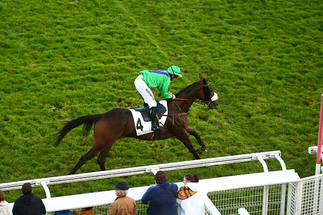 Photo d'arrivée de la course pmu PRIX ROGER SOULANGE-BODIN à AUTEUIL le Samedi 16 octobre 2021