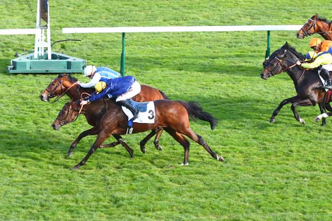 Photo d'arrivée de la course pmu PRIX DU CONSEIL DE PARIS à LONGCHAMP le Dimanche 17 octobre 2021