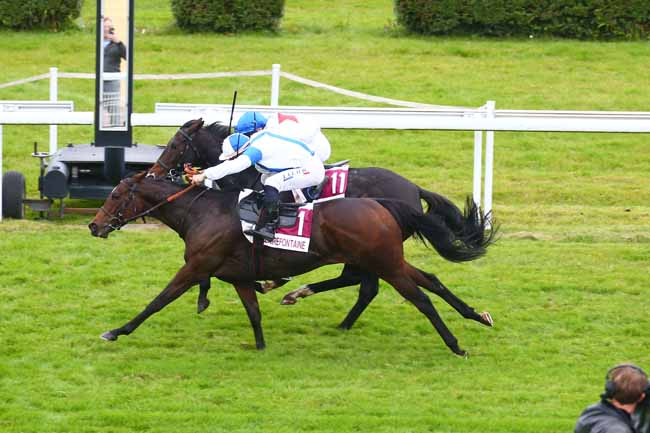 Photo d'arrivée de la course pmu PRIX AUX COURSES LES JEUNES - DECOUV. DE LA FILIERE DES COURSES (PRIX DE FLEURIGNY) à CLAIREFONTAINE le Lundi 18 octobre 2021