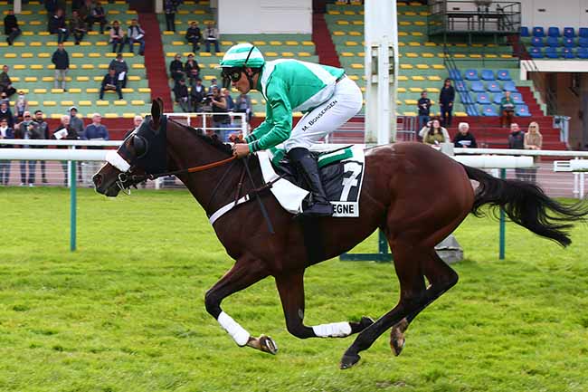 Photo d'arrivée de la course pmu PRIX DU BOTTEY - PRIX CONSEIL DES CHEVAUX DE NORMANDIE à CLAIREFONTAINE le Lundi 18 octobre 2021