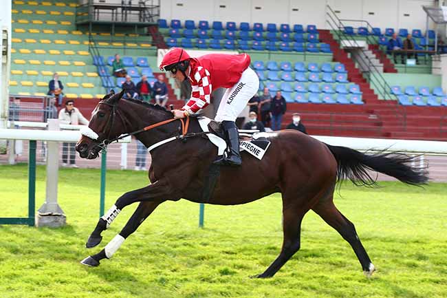 Photo d'arrivée de la course pmu PRIX DE LA COUTURE BARDIN - PRIX NORMANDIE GRANDS EVENEMENTS à CLAIREFONTAINE le Lundi 18 octobre 2021