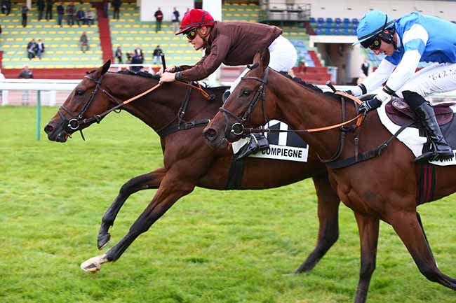 Photo d'arrivée de la course pmu PRIX DE BOURGES à COMPIEGNE le Lundi 18 octobre 2021