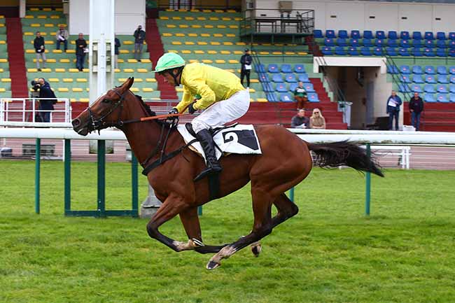 Photo d'arrivée de la course pmu PRIX VATELYS à COMPIEGNE le Lundi 18 octobre 2021