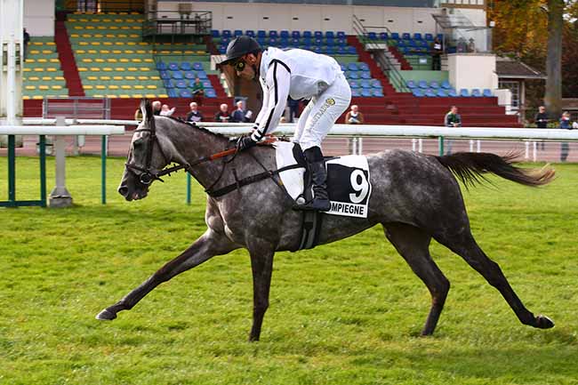 Photo d'arrivée de la course pmu PRIX ROGER SAINT à COMPIEGNE le Lundi 18 octobre 2021