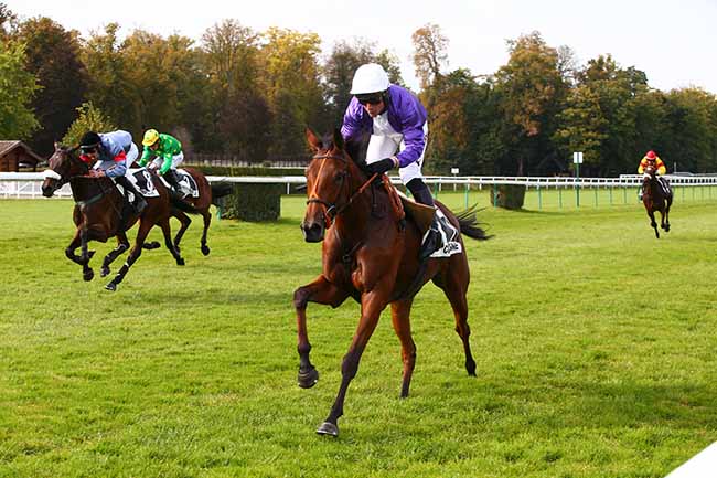 Photo d'arrivée de la course pmu PRIX ELISA à COMPIEGNE le Lundi 18 octobre 2021