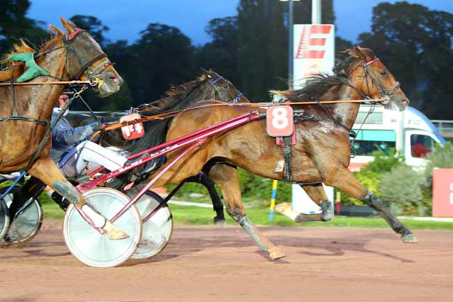 Photo d'arrivée de la course pmu PRIX DE LA PORTE CHAUMONT à ENGHIEN le Lundi 18 octobre 2021
