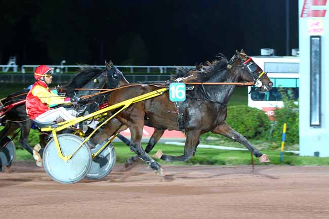 Photo d'arrivée de la course pmu PRIX DU PONT DE LA TOURNELLE à ENGHIEN le Lundi 18 octobre 2021