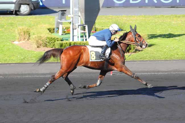 Photo d'arrivée de la course pmu PRIX EUTERPE à PARIS-VINCENNES le Mardi 19 octobre 2021