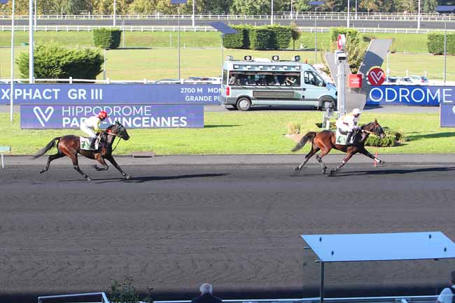 Photo d'arrivée de la course pmu PRIX PHACT à PARIS-VINCENNES le Mardi 19 octobre 2021