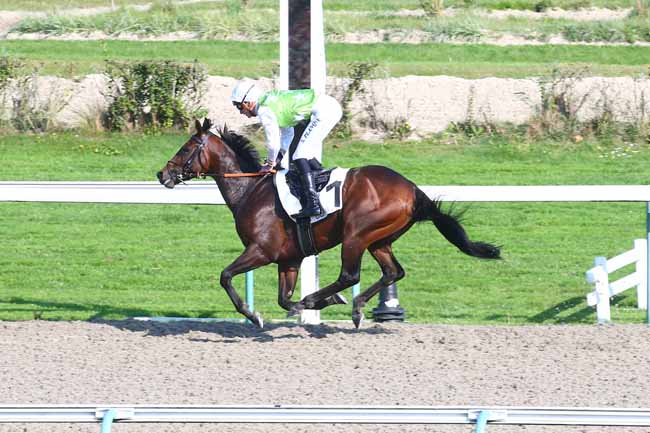 Photo d'arrivée de la course pmu PRIX DE BOLBEC à DEAUVILLE le Mardi 19 octobre 2021