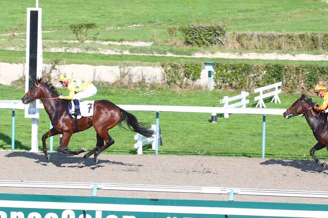 Photo d'arrivée de la course pmu PRIX DU PIN-AU-HARAS à DEAUVILLE le Mardi 19 octobre 2021