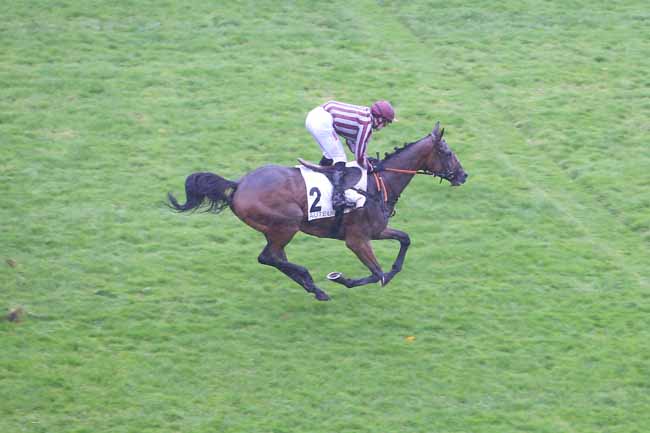 Photo d'arrivée de la course pmu PRIX ADRIEN BESNOUIN à AUTEUIL le Jeudi 21 octobre 2021