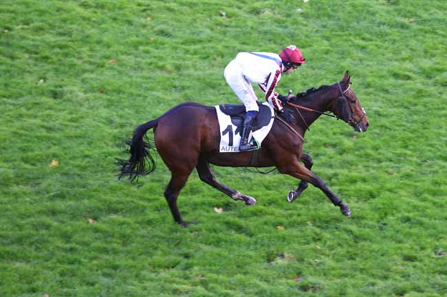 Photo d'arrivée de la course pmu PRIX LA TURBIE à AUTEUIL le Jeudi 21 octobre 2021