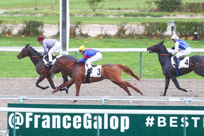 Photo d'arrivée de la course pmu PRIX ARAZI à DEAUVILLE le Jeudi 21 octobre 2021