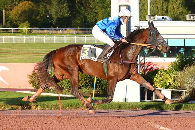 Photo d'arrivée de la course pmu PRIX DU PONT NEUF à ENGHIEN le Jeudi 21 octobre 2021