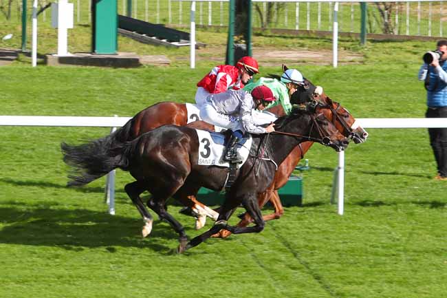 Photo d'arrivée de la course pmu PRIX FITERARI à SAINT CLOUD le Samedi 23 octobre 2021