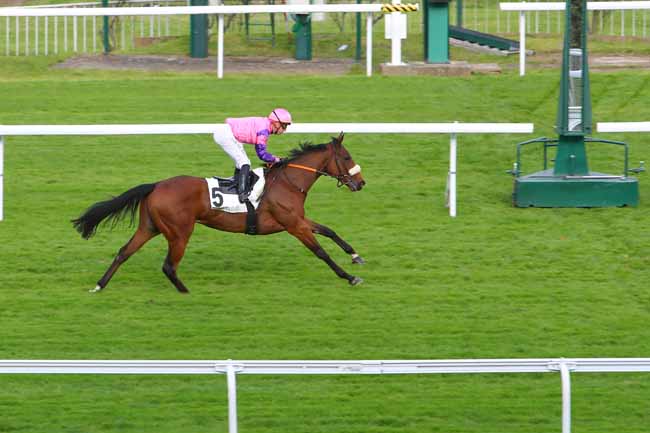 Photo d'arrivée de la course pmu PRIX BELLE DE NUIT à SAINT CLOUD le Samedi 23 octobre 2021