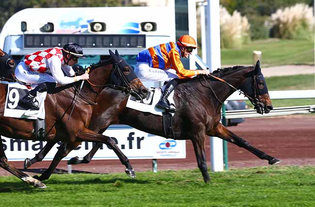 Photo d'arrivée de la course pmu HANDICAP DE MARSEILLE à MARSEILLE BORELY le Lundi 25 octobre 2021