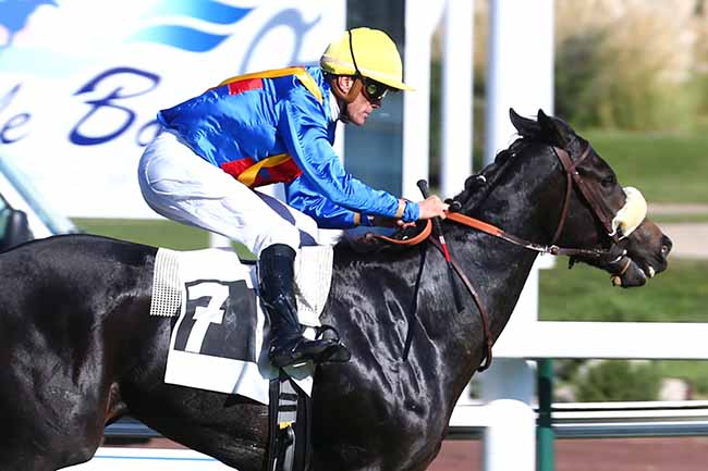 Photo d'arrivée de la course pmu PRIX DELAHANTE à MARSEILLE BORELY le Lundi 25 octobre 2021