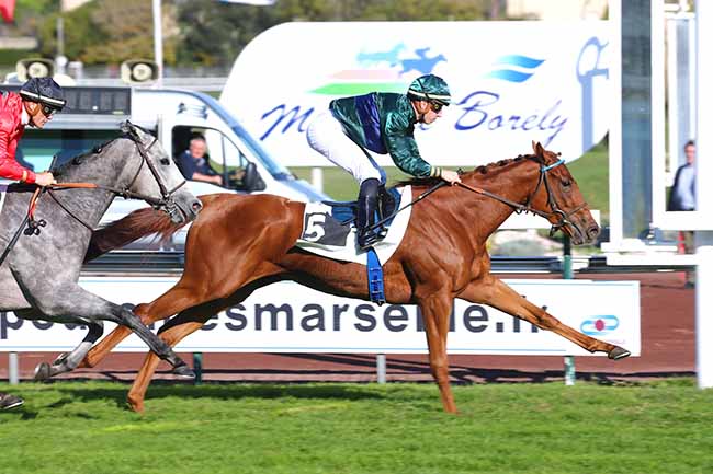 Photo d'arrivée de la course pmu PRIX DE RATONNEAU à MARSEILLE BORELY le Lundi 25 octobre 2021