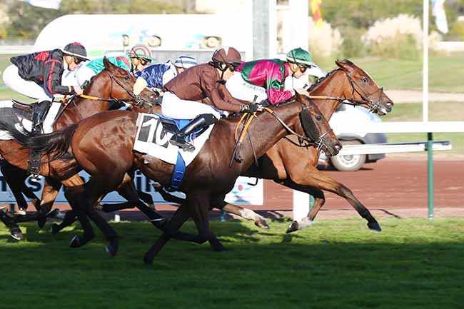Photo d'arrivée de la course pmu PRIX DE MANOSQUE à MARSEILLE BORELY le Lundi 25 octobre 2021