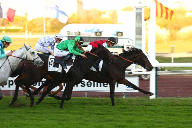 Photo d'arrivée de la course pmu PRIX DES SOCIETAIRES à MARSEILLE BORELY le Lundi 25 octobre 2021