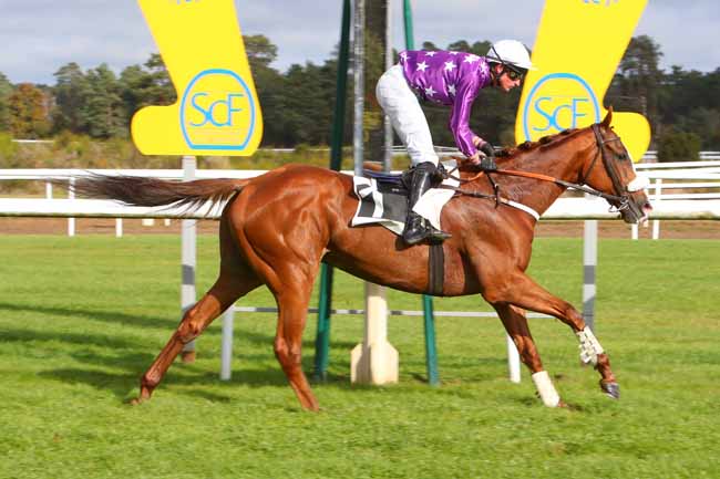 Photo d'arrivée de la course pmu PRIX PAUL TAVERNIER (PRIX J SUSHI A FONTAINEBLEAU) à FONTAINEBLEAU le Mardi 26 octobre 2021