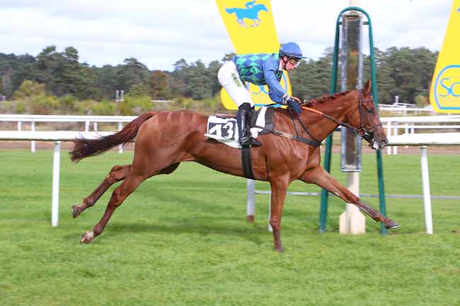 Photo d'arrivée de la course pmu PRIX COMTE ANTOINE DE GONTAUT-BIRON à FONTAINEBLEAU le Mardi 26 octobre 2021