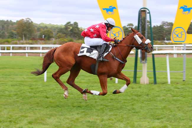 Photo d'arrivée de la course pmu PRIX ANDRE PAROT à FONTAINEBLEAU le Mardi 26 octobre 2021