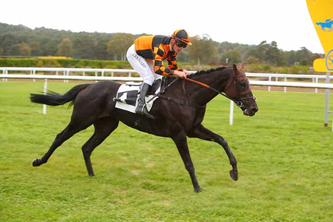 Photo d'arrivée de la course pmu PRIX DE LA ROUTE DES DEUX SOEURS à FONTAINEBLEAU le Mardi 26 octobre 2021
