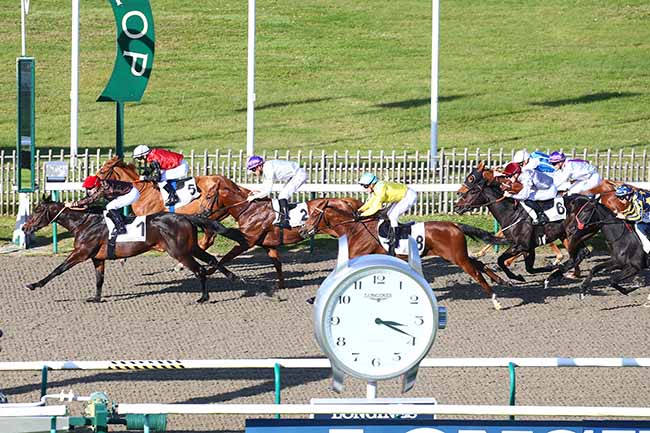 Photo d'arrivée de la course pmu PRIX DES TERROIRS DE FRANCE à CHANTILLY le Mercredi 27 octobre 2021