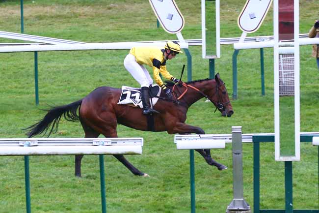 Photo d'arrivée de la course pmu PRIX DE SAINT-RAPHAEL à COMPIEGNE le Samedi 30 octobre 2021
