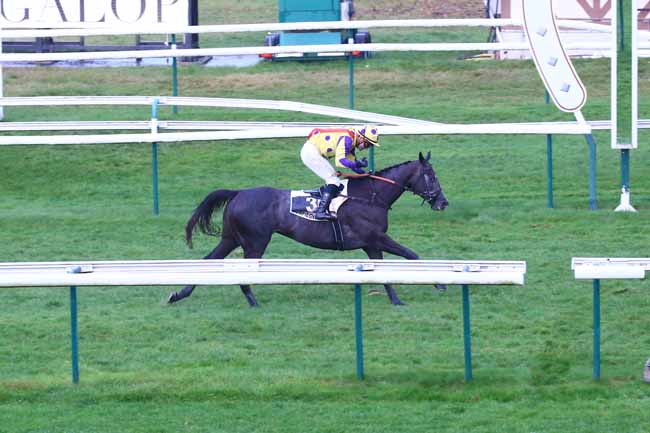Photo d'arrivée de la course pmu PRIX DE BESANCON à COMPIEGNE le Samedi 30 octobre 2021