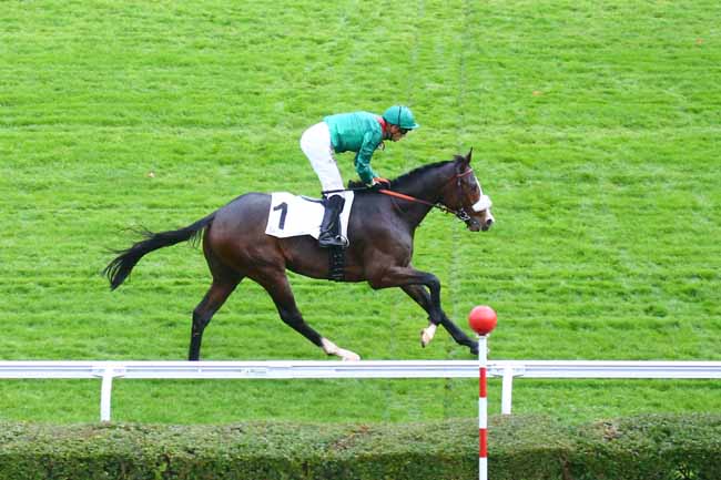 Photo d'arrivée de la course pmu PRIX ANTIVARI à SAINT CLOUD le Dimanche 31 octobre 2021