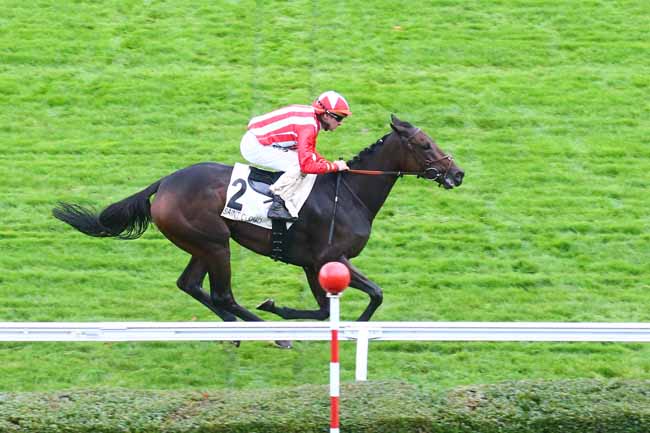 Photo d'arrivée de la course pmu PRIX ISOLA BELLA - FONDS EUROPEEN DE L'ELEVAGE à SAINT CLOUD le Dimanche 31 octobre 2021
