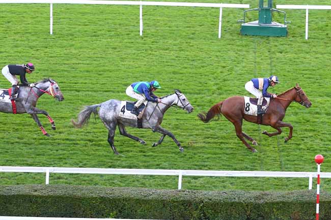 Photo d'arrivée de la course pmu PRIX DES HARAS à SAINT CLOUD le Dimanche 31 octobre 2021